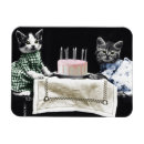 Search for candle magnets Happy birthday