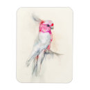Search for tropical rectangular magnets Watercolor