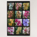 Search for orchid puzzles Flowers