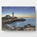 Search for head plaques Ocean