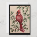 Search for cardinal thank you cards Red bird