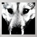 Search for pups art Malamute