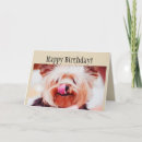 Search for yorkie birthday cards Pet