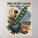 Search for vintage vegetable posters Carrots