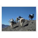 Search for andes mountain cards Bolivia