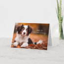 Search for puppy thank you cards Dogs