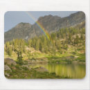 Search for little mousepads Forest