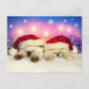 Search for kitten christmas cards Pet lover