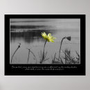 Search for lotus flower quote posters Nature