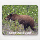 Search for bear mousepads Black bears