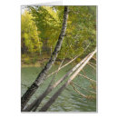 Search for green waves postcards Water