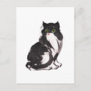 Search for black cat postcards Animal lover
