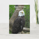 Search for bald eagle birthday cards Birds
