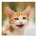 Search for purr art Animal