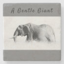 Search for gentleness coasters Gentle giant