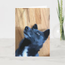 Search for black dog cards Puppy