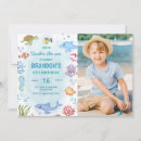 Search for whale birthday Ocean animals