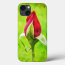Search for rosebud electronics Garden