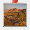 Search for nationalized christmas tree decorations Desert