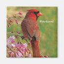 Search for headed magnets Birds and blooms
