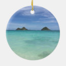 Search for mele christmas tree decorations Island