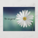 Search for speciality postcards Flower