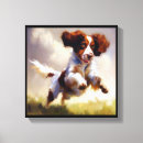 Search for brittany dog posters Breed