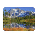 Search for wa magnets View