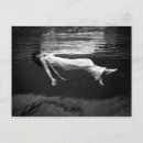 Search for float photography Water