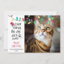Search for funny cat sayings cards Modern