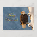 Search for bald eagle christmas cards Animal