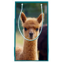 Search for alpaca gift bags Llama