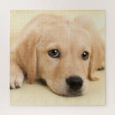 Search for pet photo puzzles Create your own photo