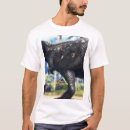 Search for ark tshirts Evolved