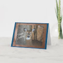 Search for deer birthday cards White tailed deer