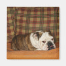 Search for sofa magnets Indoors