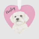 Search for havanese christmas tree decorations Bichon