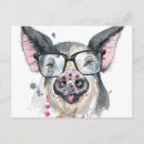 Search for farm pig postcards Watercolor