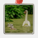Search for swan christmas tree decorations Waterfowl