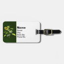 Search for sparrow accessories Green