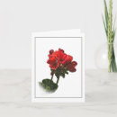 Search for photo drawings cards Flowers