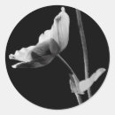 Search for black and white flowers stickers Floral