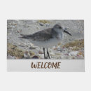 Search for shore bird Beach house