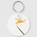 Search for amber key rings Bug