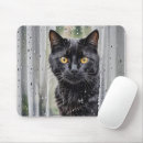 Search for cat looking electronics Pet