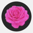 Search for beautiful women stickers Trendy