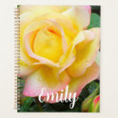 Search for peace flower photography Rose