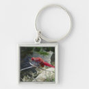 Search for dragonfly key rings Close up