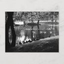 Search for pond life postcards Water