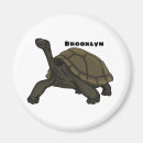 Search for galapagos magnets Ecuador